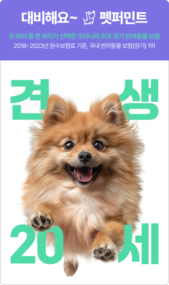 대비해요~ 펫퍼민트 설명