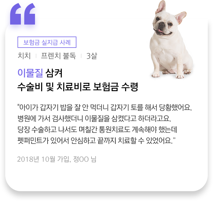 보험금 실지급 사례에 대한설명