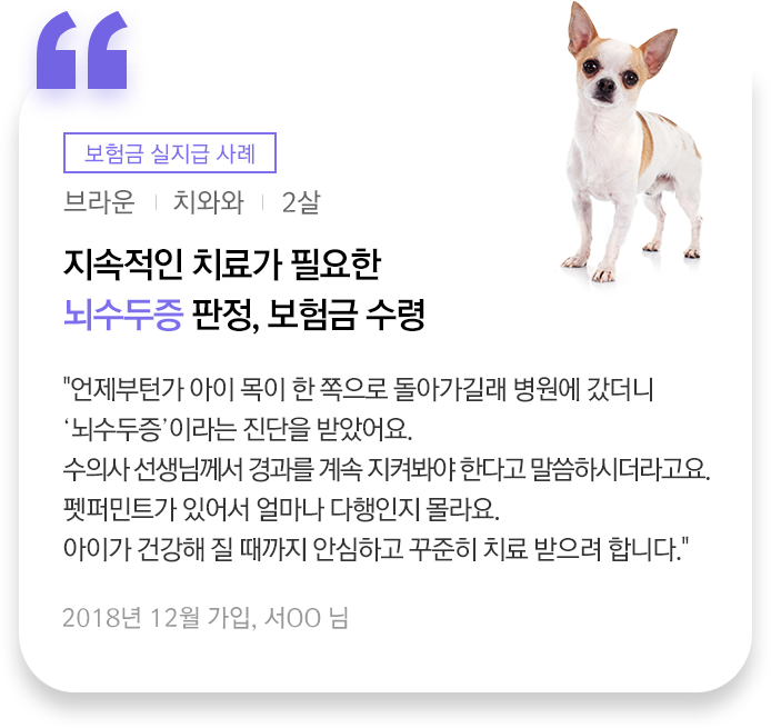 보험금 실지급 사례에 대한설명