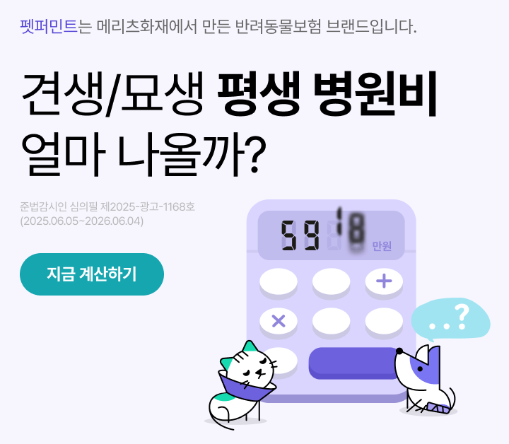 견생/묘생 평생 병원비 얼마 나올까? 설명