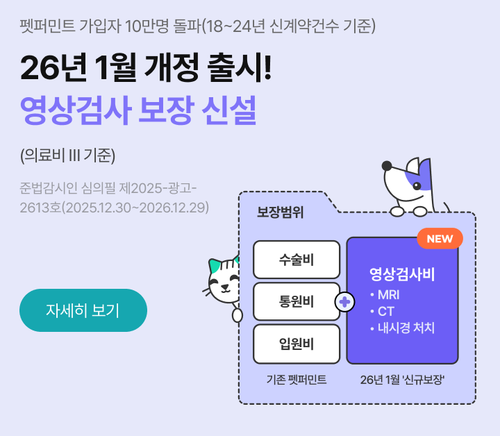 26년 1월 개정 출시 영상검사 보장 신설 설명