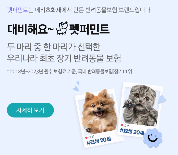 대비해요~ 펫퍼민트 보험 설명