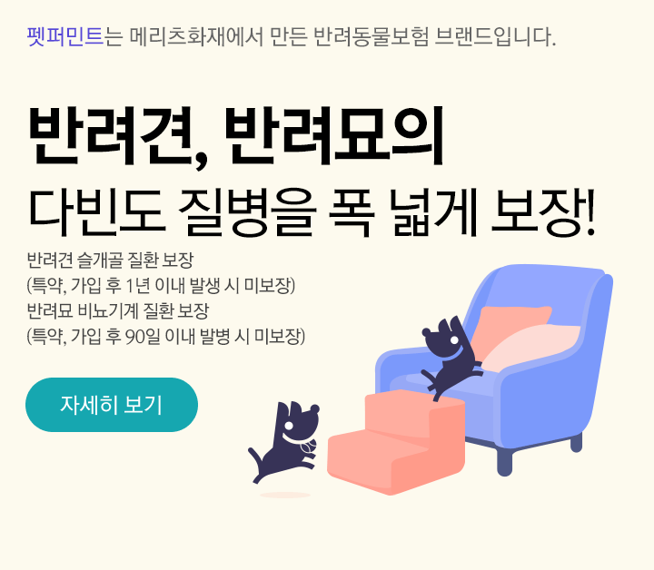 반려견, 반려묘의 다빈도 질병을 폭 넓게 보장관련 설명