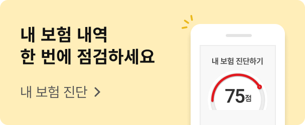 내 보험 내역 한 번에 점검하세요 내 보험 진단 보러가기